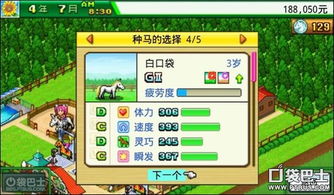 顶级跑马牧场攻略（培养顶级赛驹）