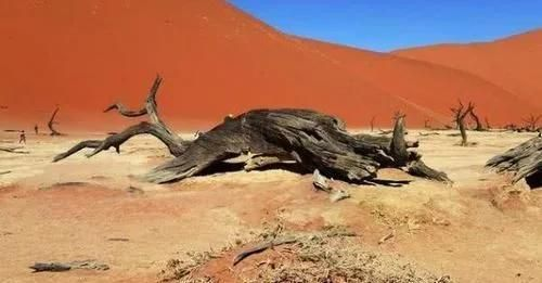 死亡谷魔鬼洞突发沙漠海啸?玩家必看的自然异象与游戏联动密码 死亡谷魔鬼洞突发沙漠海啸?玩家必看的自然异象与游戏联动密码