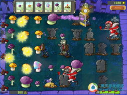 植物大战僵尸2010中文版藏了多少你没发现的生存密码？老玩家实测解密