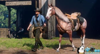 马匹获得方法全解析