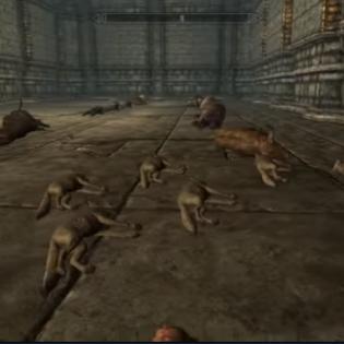 上古卷轴 5 美女 NPC 排名，领略天际省的别样风情