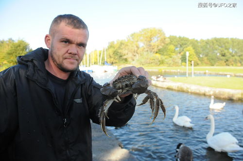 美国州惊现入侵大闸蟹,恐慌蔓延新物种威胁! 美国州惊现入侵大闸蟹,恐慌蔓延新物种威胁!