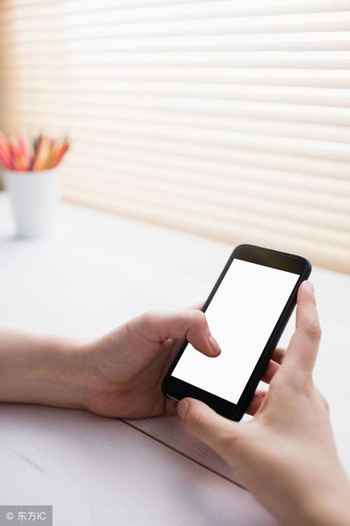 手机放电饭煲内胆抢票奇招，成功率飙升多品牌跟进揭秘