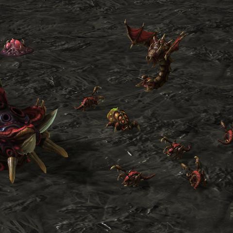 星际争霸2中文补丁到底怎么选？老玩家实测3款热门补丁的真实体验