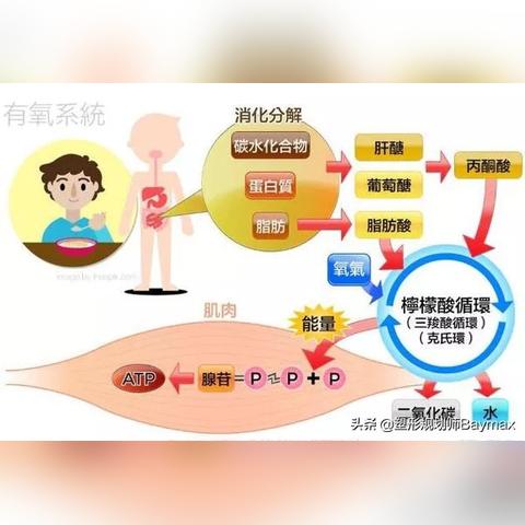 女子奇迹生还：脂肪肉盾挡下七枪，脂肪救星显神威