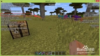 我的世界冰雪神殿寻找指南