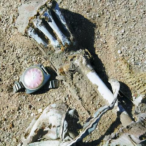 辐射4怎么开全屏?解决90%玩家踩坑的3种实战方案+隐藏设置密码 辐射4怎么开全屏?解决90%玩家踩坑的3种实战方案+隐藏设置密码