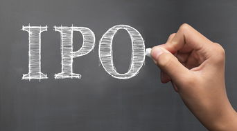 微软DEI新举措显成效，多元融合迈向新高度