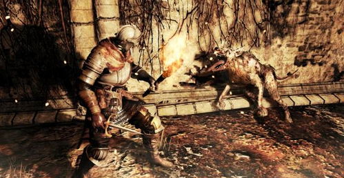 探寻灵魂奥秘：杨奇深度解析“灵魂本质”