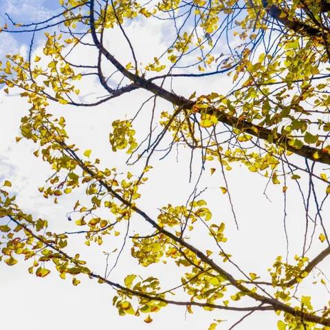 《上古卷轴6》早期开发盛赞，《光与影》改写引领新潮流