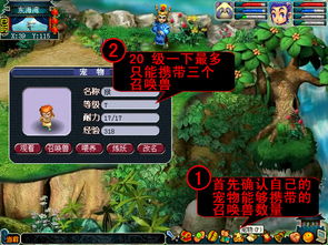 梦幻西游宣传视频（稀有宠物能捕捉吗）