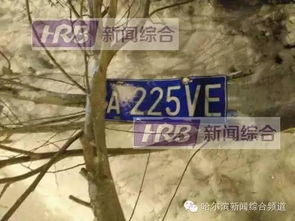 撞碎暴雪还是被雪埋?撞击冬季生存党必须通关的3个破冰局 撞碎暴雪还是被雪埋?撞击冬季生存党必须通关的3个破冰局