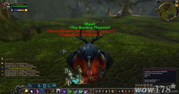 小德雕文，德鲁伊职业的深度雕琢与玩法拓展