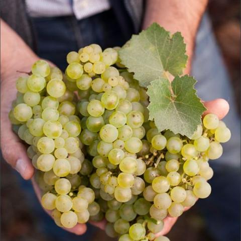 女生别再只玩小甜水！这5款「大游戏」藏着你没体验过的细腻快乐