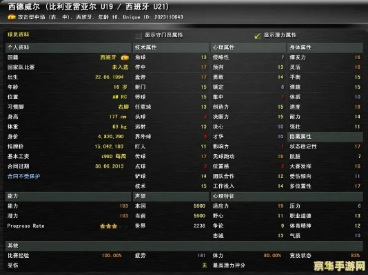 FM2012妖人中场怎么选?5个被低估的隐形大腿实战测试全解析 FM2012妖人中场怎么选?5个被低估的隐形大腿实战测试全解析