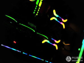 百万预算打造年度佳作，《光与影》远征队独领风骚