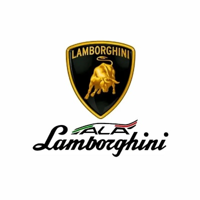 男子7500万倒卖Lambo.com域名，兰博基尼终获合法所有权