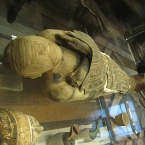 《古墓丽影：亚特兰蒂斯》中文配音全收录，沉浸体验新升级