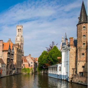 15岁比利时少年博士探秘永生奥秘 15岁比利时少年博士探秘永生奥秘