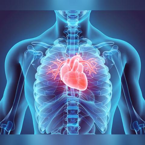 五年狂吃40蛋，医生警示：健康风险高，速查真相！