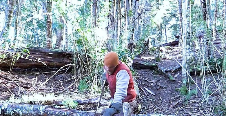 100小时荒野求生玩家复盘，为什么你总在第3天倒在资源陷阱里？