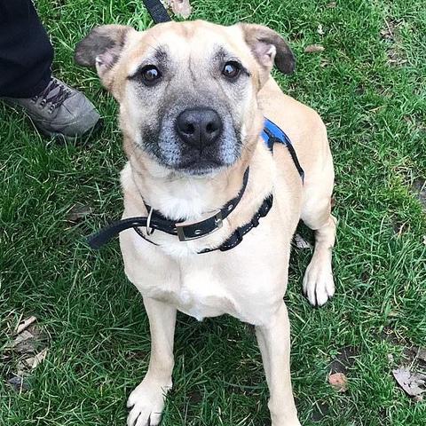 英国老人意外吞叶罚款250镑，惊曝社会新规！