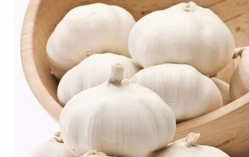 男子点炒饼索要蒜被劝离,老板直言:不卖你了!蒜香拒客引热议 男子点炒饼索要蒜被劝离,老板直言:不卖你了!蒜香拒客引热议