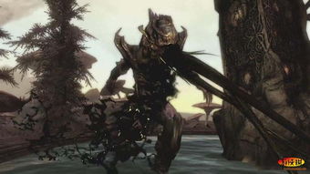 《上古卷轴5》美艳物理冒险，重塑天际传奇魅力新体验