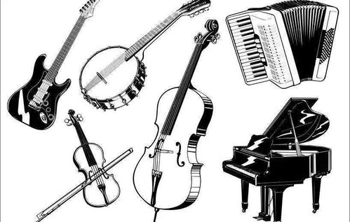 乐器的种类及其分类：让音乐更加丰富多彩