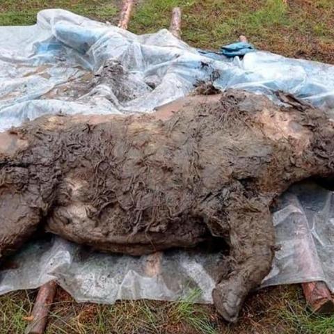 古墓丽影2（潘多拉魔盒暗藏什么秘密）