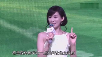 高圆圆综艺替身澄清：光替非综艺改编，揭秘真实幕后