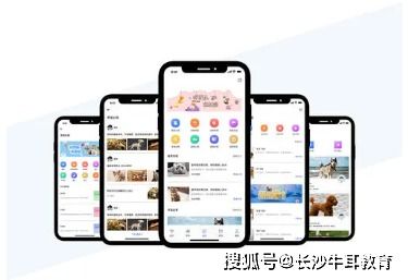 百阅阅读器 Java 通用版，移动阅读的经典之选