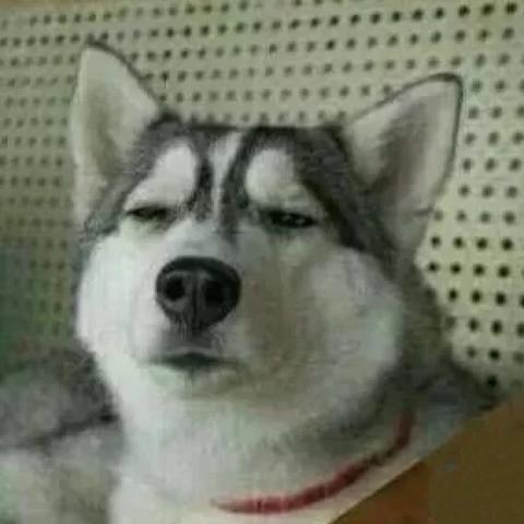 能联机的单机游戏有多香？5款被玩家私藏的多人爽游，开黑比网游还上头