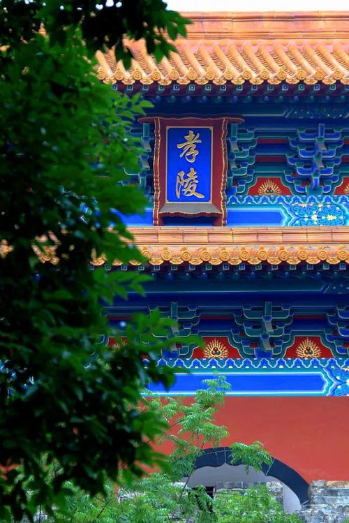 明孝陵景区回应：修复“帅版”朱元璋画像展板，创新展示历史风采