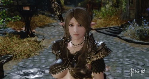 《上古卷轴5》日式美女大变身，绝美攻略秘籍曝光！