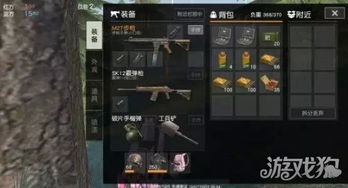 《荒野祝谣新篇章》揭秘：装备升级武器革新**价值突破**
