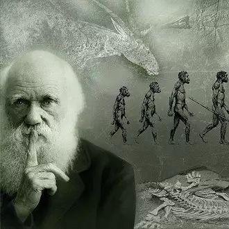 达尔文进化岛攻略,达尔文与进化论有着什么样的故事 达尔文进化岛攻略,达尔文与进化论有着什么样的故事