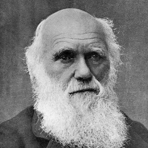 达尔文进化岛攻略,达尔文与进化论有着什么样的故事 达尔文进化岛攻略,达尔文与进化论有着什么样的故事