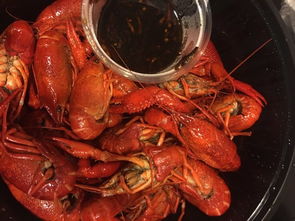 奇异炸冰虾用什么火,一场烹饪的探索之旅 奇异炸冰虾用什么火,一场烹饪的探索之旅