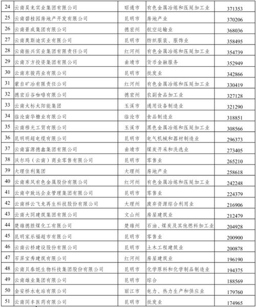 《长安二十四计》评分揭秘:破解非正常打分之谜 《长安二十四计》评分揭秘:破解非正常打分之谜