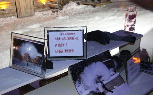 日赚万元秘籍：泼水成冰工作室独家改写仅需50元