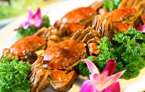 餐厅惊现毒螃蟹！专家提醒：爱洁蟹不可食，警惕健康风险