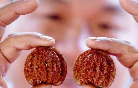 男子四年盘玩核桃竟是塑料，150元白花冤枉钱！揭秘文玩陷阱