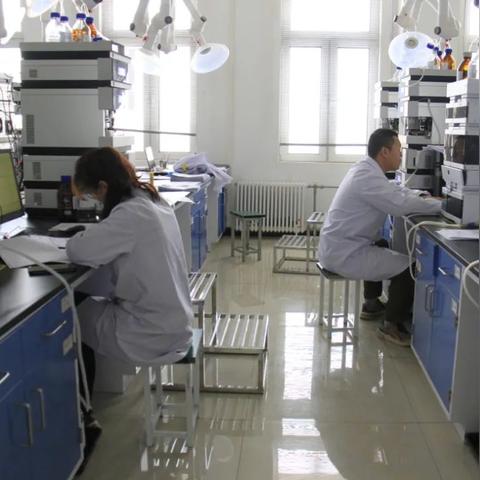 筑梦师,当搭房子变成玩故事,我在游戏里养了个会长大的小镇 筑梦师,当搭房子变成玩故事,我在游戏里养了个会长大的小镇