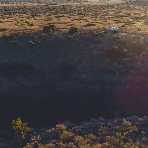 《丛林探险升级！《潜水员戴夫》DLC揭秘新价值体验》