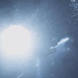 《丛林探险升级！《潜水员戴夫》DLC揭秘新价值体验》