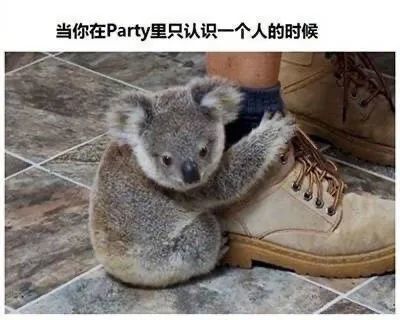 小考拉公交车上寻亲记：温情救助暖人心