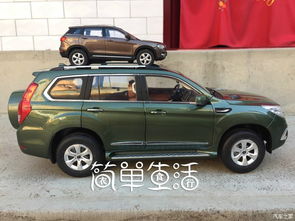 黑丝诱惑，兄弟情深，太平模特午间动态图大揭秘！