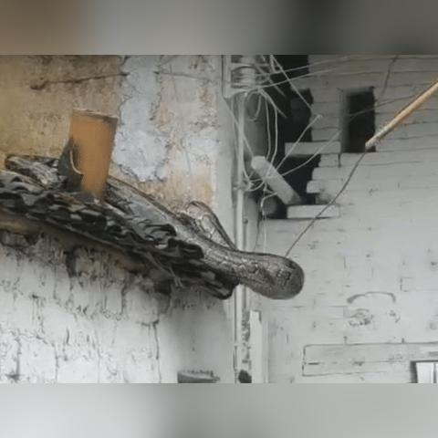 战神3PC版还能再战？老玩家用300小时实战告诉你它为何还是动作游戏天花板