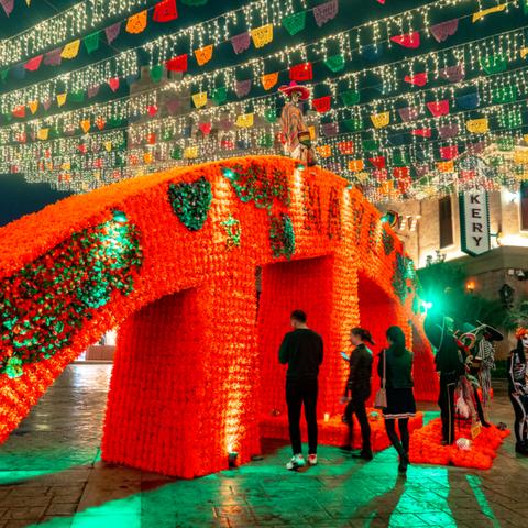 末日新游好评如潮，免费体验小而美魅力